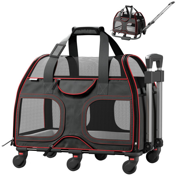 Designer dog shop carriers coach